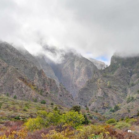 Naturaleza Viva El Socorro Exterior foto